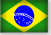 portugués brasileño